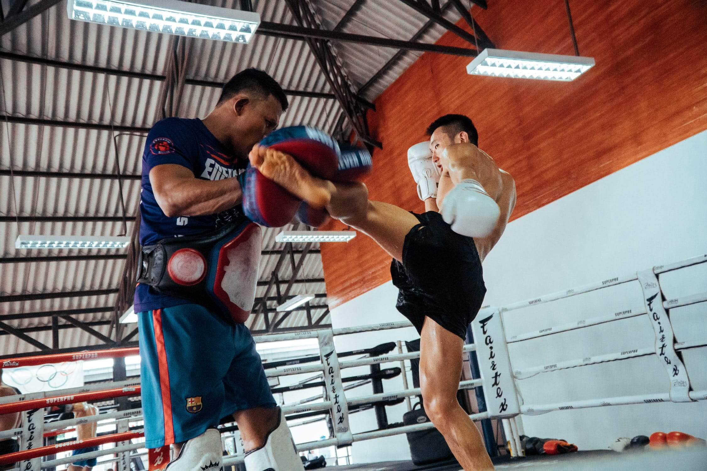 Muay Thai Gym Shorts  Fitness inspiration body, Fitness