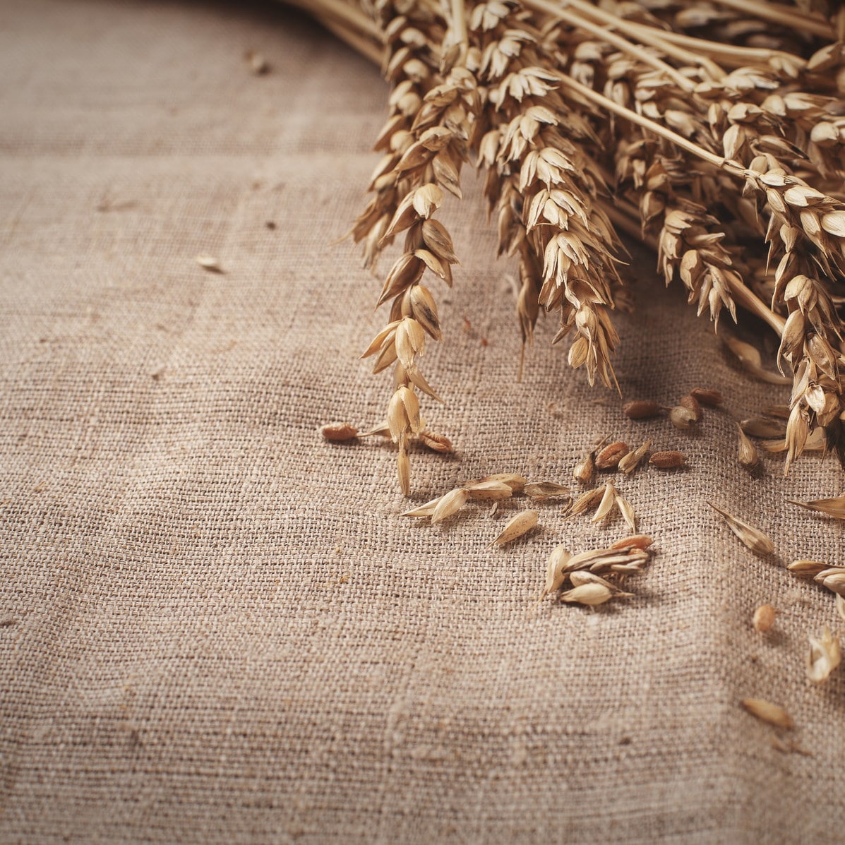 What is Jute Fabric: Properties, How its Made and Where