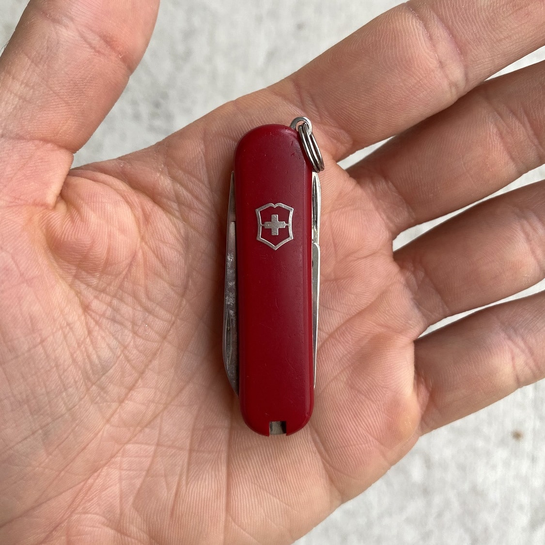 Victorinox Classic SD Swiss Army Knife Review + Rambler Comparison