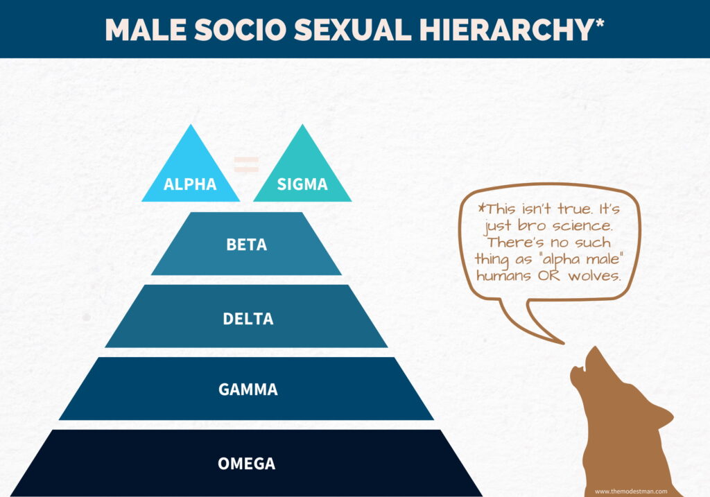 Male Hierarchy Explained Is This Just Bro Science?